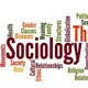 Sociology hub