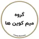 گروه میم کوین ها
