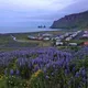 🇮🇸