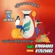 Loan service ផុសដោយសេរី