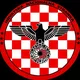 Hrvatska Nacionalna Stranka