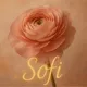 "SOFI" Цветочный магазин 🌷