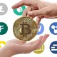 Romania Crypto Leads Validator | Real Binance Number Data