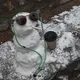 عکس و فیلم دانشگاه هنر اصفهان