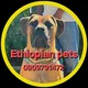 🐾Ethiopian pets🐾
