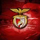⚪️🔴 SLBenfica💪🏆 🔴⚪️