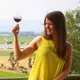 Chile_with_wine
