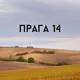 Прага 14: нетворкинг и образование, курсы чешского