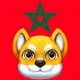 Omikami Morocco 🇲🇦- أوميكامي المغرب