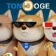 TON DOGE CHAT