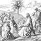 Sal terrae