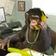 Russian Ape Chat