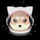 $TKINU (ETH ONLY)