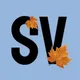 SV club СПб | Косметология, эстетика, эпиляция