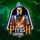 PIYUSH GAMING HACK'S