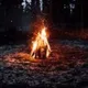 Движ-Париж (чат)