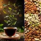Чай Tea SHOLK с острова Шри-Ланка и Орехи под заказ