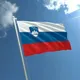 Русские в Словении. Чат.