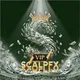 SCALP TRADE VIP