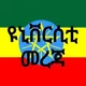 Ethiopian University መረጃ