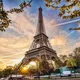 Paris Live Mall