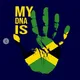 FOREX KING JAMAICA=VIX