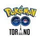 Pokémon GO Torino