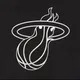 Miami Heat | میامی هیت