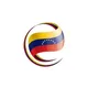 🇻🇪 Patria Informa Chat 🇻🇪