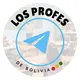 Profes Bolivia 2024 🇧🇴
