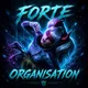 FORTE ORGANISATION