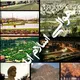 هەوالی اسلام آباد