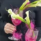 Цветы ,,Маленький Марсель,, ул.Селигерская 18к1