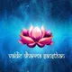 VDS - Vaidicpujas