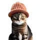 catwifhat $CWIF on solana