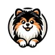 Pet in travel | Путешествия, переезд с питомцем | Таиланд, Вьетнам, ОАЭ, Европа, Турция, Грузия, США