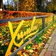 Химки Life (Москва)