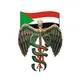 MedSIN-OMA
