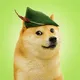 $ROGE - Vlad Favorite memecoin