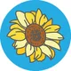 Dopomoga.am|Ukrainian Forum NGO