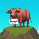$EBULL Chat
