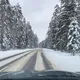ПОПУТЧИКИ 🚙🚕✈️ Кострома