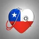Médicos por la Verdad Chile 🇨🇱 Interactivo No Oficial