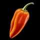 chile-forum.ru