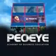 Crypto Lab - Peoeye Chat