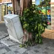 Хайфа работа 💸🇮🇱