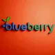 BlueBerry Обмен валюты Аргентина Буэнос-Айрес доставка