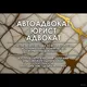 Адвокат, юрист, автоадвокат. Казахстан