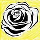 The White Rose New Zealand