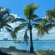 МАЙАМИ ДОСКА ОБЪЯВЛЕНИЙ | MIAMI | Объявления | Чат | Работа